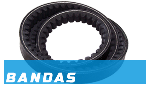 Vandas